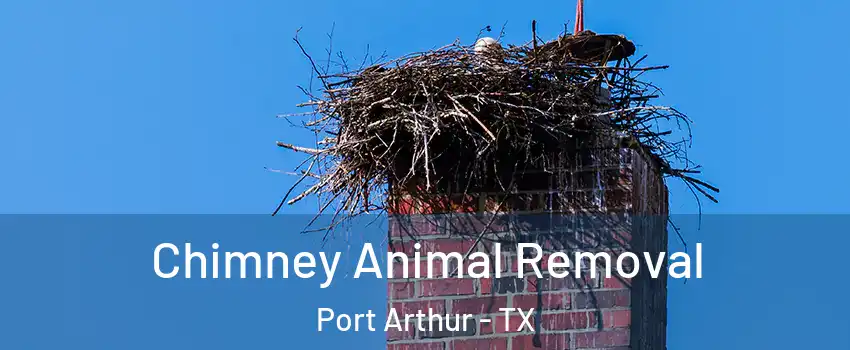  Chimney Animal Removal Port Arthur - TX