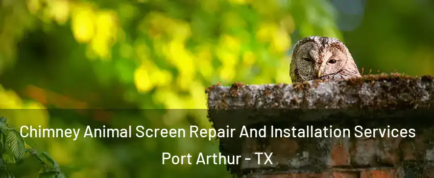  Chimney Animal Screen Repair And Installation Services Port Arthur - TX