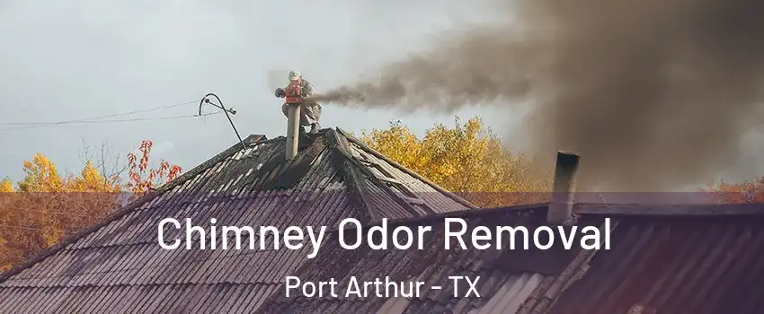  Chimney Odor Removal Port Arthur - TX
