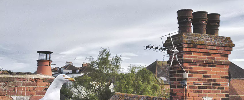 Chimney Cleaning And Restoration in Port Arthur, Texas