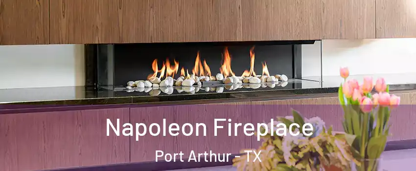  Napoleon Fireplace Port Arthur - TX